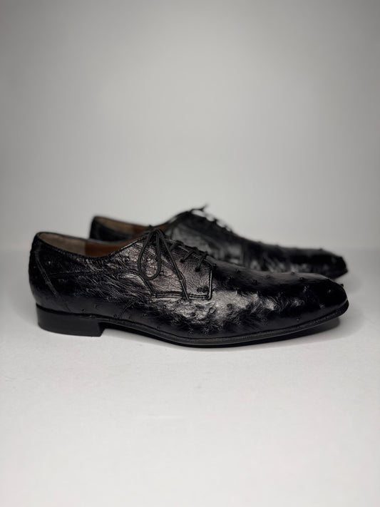 Zapato oxford avestruz primera negro
