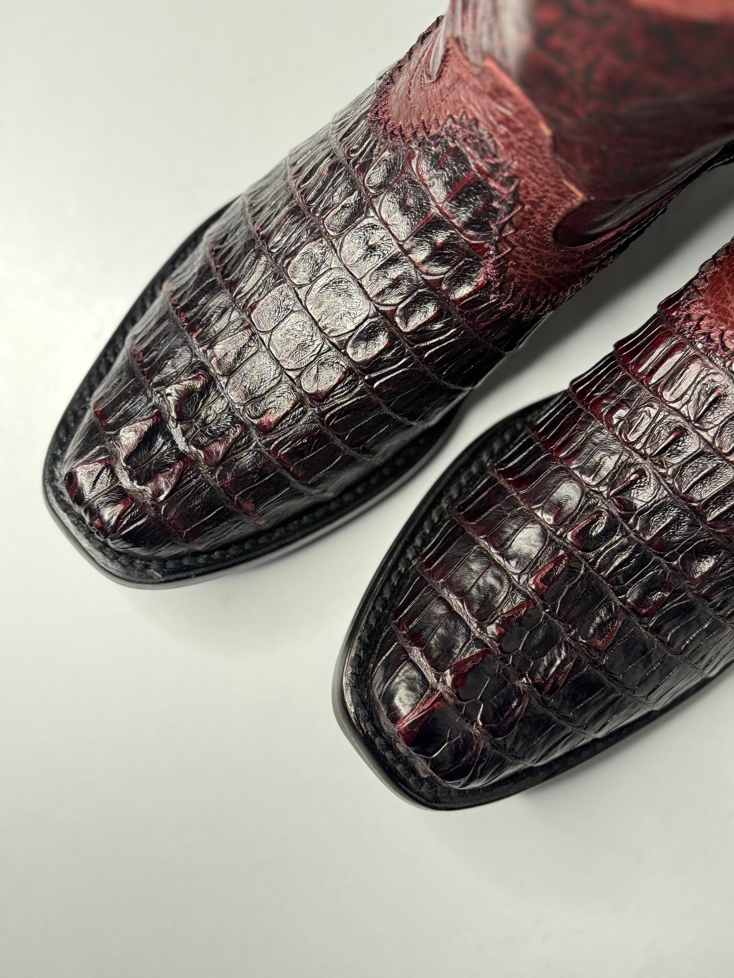 Bota Vaquera Ranger Caimán back Black Cherry